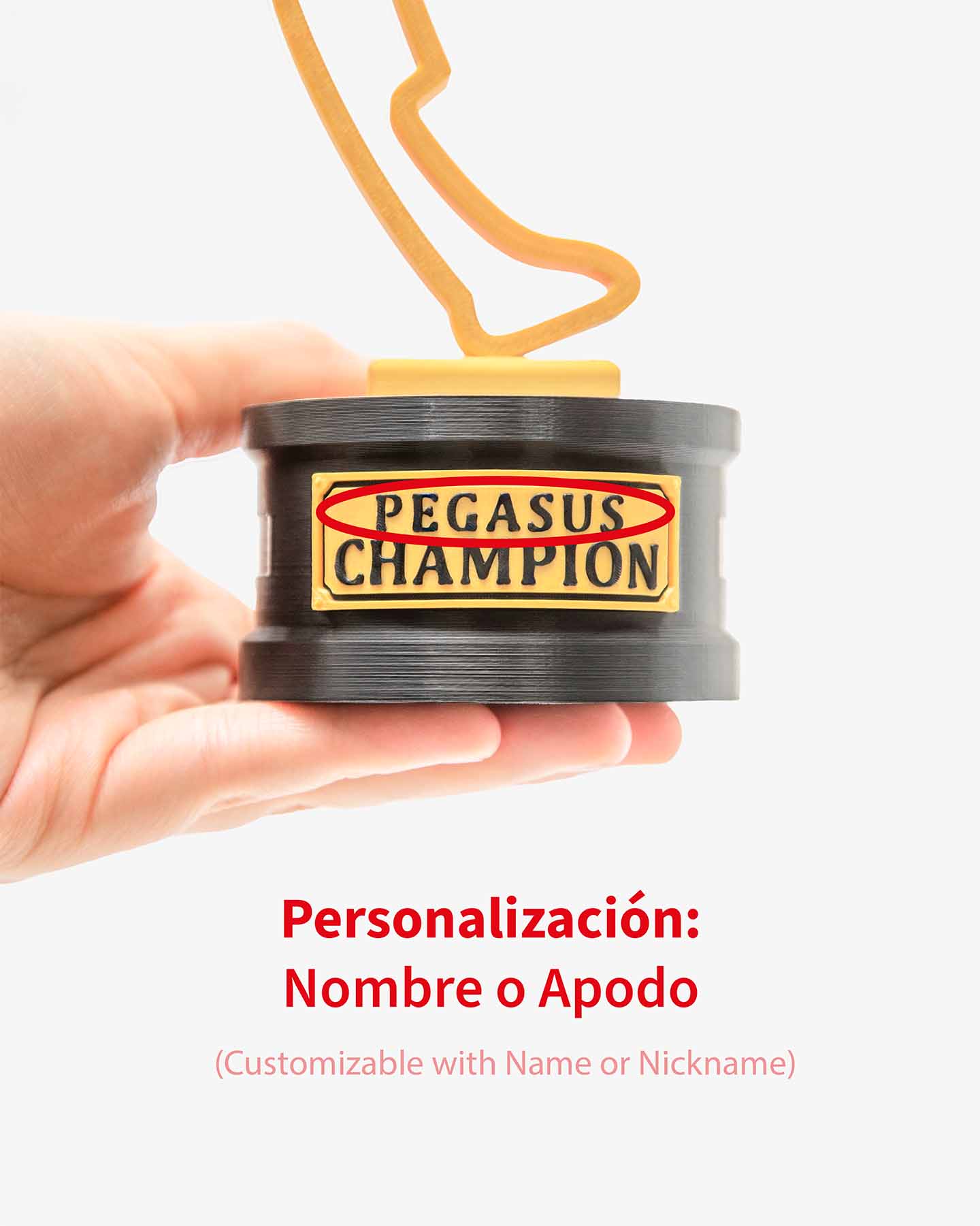 Circuito Personalizado| F1